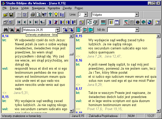 Widok og�lny programu